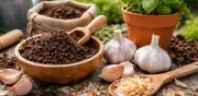 La mezcla de ajo y café revoluciona la jardinería doméstica: beneficios y preparación