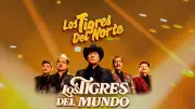 Los Tigres del Norte llegan a Bogotá: Concierto en El Campín el 7 de noviembre de 2026