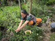 Medellín lanza convocatoria para fortalecer emprendimientos agropecuarios de jóvenes y mujeres rurales