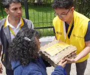 MinAgricultura compra huevos a pequeños productores para reducir excedentes