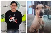 Necropsia revela que perrita Kira murió por golpiza, no por envenenamiento; capturan a presunto agresor