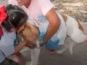 Niña cubre los ojos de su perrito durante vacuna en emotivo gesto de protección