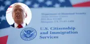 Nuevas reglas de USCIS en mayo sobre green cards y permisos de trabajo