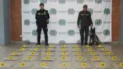 Perra antinarcóticos París detecta más de 20 kg de marihuana en El Dorado