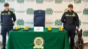 Policía incauta 8,7 kg de cocaína en maleta con GPS en aeropuerto El Dorado de Bogotá