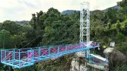 Puente de cristal en Viotá: la joya turística de Cundinamarca a solo 3 horas de Bogotá