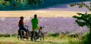 Recorriendo la Provenza en Bicicleta: Lavanda, Pueblos Medievales y Arte en el Sur de Francia