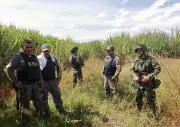 Rescatan a cinco desaparecidos tras ataque terrorista en Corinto, Cauca