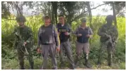 Rescatan a cinco personas escondidas en cultivos de caña en Corinto, Cauca
