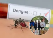 Santander recibe $4.300 millones para combatir dengue y otras enfermedades vectoriales