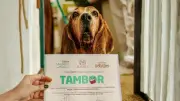Tambor, el perro terapeuta que transformó la experiencia hospitalaria durante 7 años en Medellín