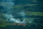 Tinigua: el parque nacional convertido en un 'hato ganadero' por la deforestación descontrolada
