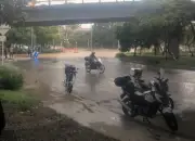 Tragedia en Medellín: Niña de 5 años fallece por caída de árbol durante aguaceros