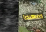 Tragedia vial en Aguachica: Motociclista fallece tras impactar contra árbol en zona rural