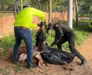 Vecinos de Betania denunciaron maltrato animal antes del asesinato de perra en Bucaramanga