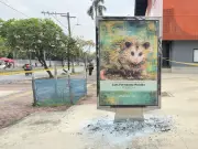 Vándalos destruyen exposición urbana de artistas vallecaucanos durante protestas en Cali
