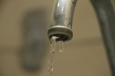 Acuacar ajusta distribución de agua en Cartagena por algas en sistema lagunar