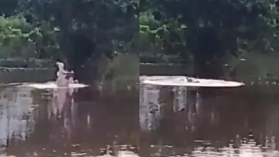 Alerta en Barrancabermeja por cuarto avistamiento de hipopótamo