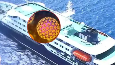 Alerta mundial por brote de hantavirus en crucero: tres muertos y siete contagiados