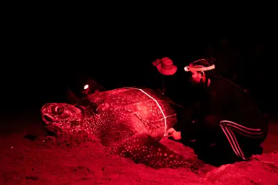 Amplían Santuario Acandí, Playón y Playona en 63 mil hectáreas