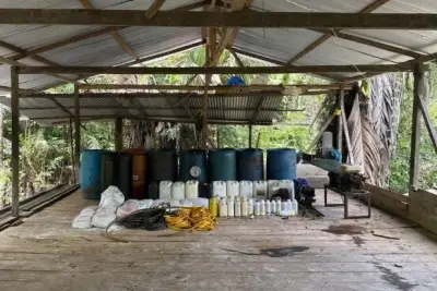 Armada desmantela 35 laboratorios de coca en Cauca y Nariño: golpe millonario