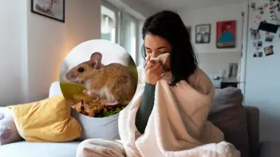 Brote de hantavirus en crucero: tres muertos y cinco sospechosos