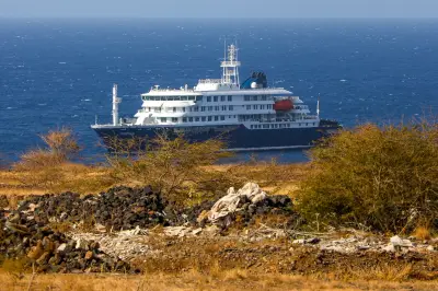 Brote de hantavirus en crucero: tres muertos y ocho casos confirmados