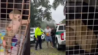 Capturan en Putumayo a tiktoker con más de 750 mil seguidores por tráfico de fauna