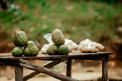 Chirimoya: la fruta andina que conquista paladares