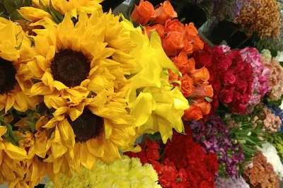 Colombia, el principal proveedor de flores para el Día de la Madre en EE. UU.