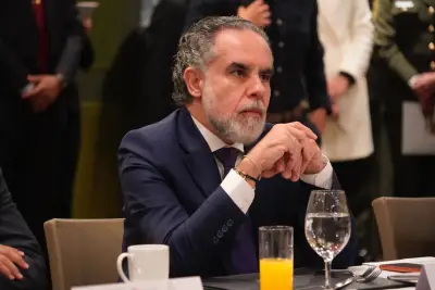 Consejo de Estado ratifica a Benedetti como ministro del Interior
