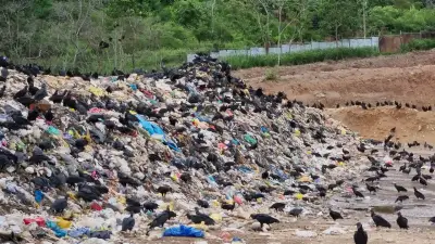Crisis de basuras en Quindío escala a la Fiscalía con denuncia penal
