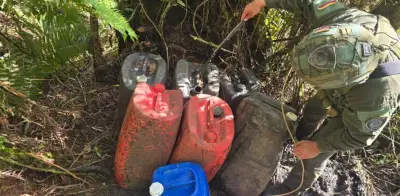Desmantelan laboratorio de cocaína en Silvania: producía hasta 500 kilos al mes