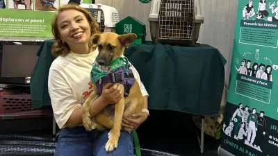 Dogpack abre convocatoria de voluntariado para proteger animales en Bogotá