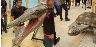 Ecos de Gigantes llega al Caribe: fósiles de Titanoboa recorrerán varias ciudades