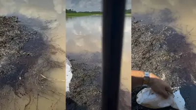Emergencia ambiental en ciénaga El Llanito por lluvias y posible contaminación