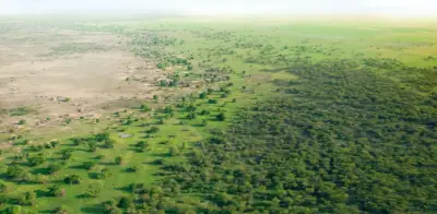 África contra el desierto: la barrera natural de 8000 km que frena al Sahara