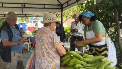 Gobierno anuncia medidas por $110.000 millones para mitigar impacto de El Niño en el agro