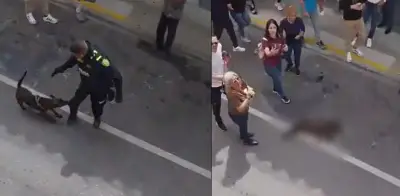 Indignación en Antioquia: policía asesina a perro de un disparo en Rionegro