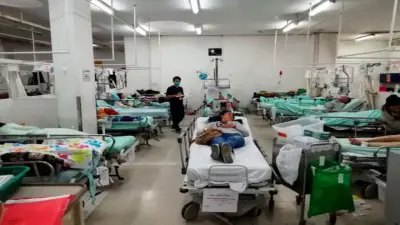 Joven sobrevive a mordedura de araña con suero traído de México