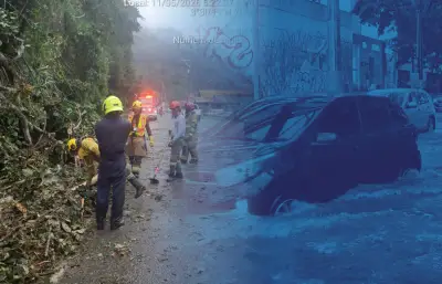 Lluvias en Cali: autoridades reportan emergencias en norte y oeste