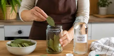 Mezcla de laurel y vinagre: usos caseros para limpieza y desodorización