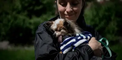 Murió Lazare, el perro más viejo del mundo, a los 30 años en Francia