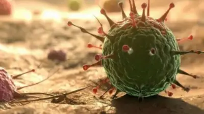 OMS declara emergencia internacional por brote de ébola en África