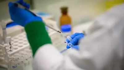 OMS: riesgo bajo de hantavirus tras brote en crucero