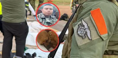 Perra pincher llevó a la caída de alias Fernando Gómez, cabecilla de disidencias