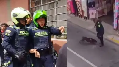 Policía dispara a perro durante operativo en Rionegro, Antioquia