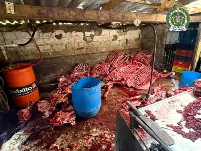 Policía incauta más de 9 toneladas de carne en Donmatías, Antioquia