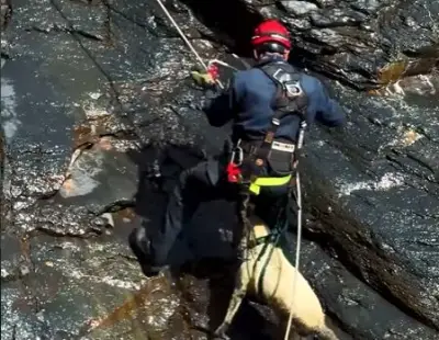 Rescatan a perrita atrapada en risco en Macanal, Boyacá