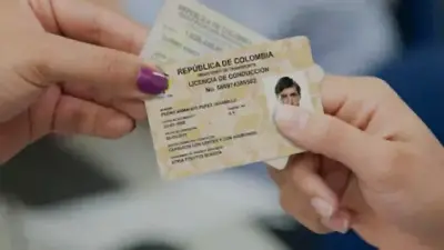 Verifique si su licencia de conducción es original en el RUNT: paso a paso